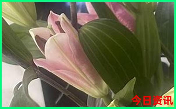 宜昌最出名三个景点